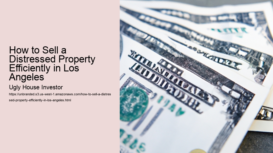 How to Sell a Distressed Property Efficiently in Los Angeles 